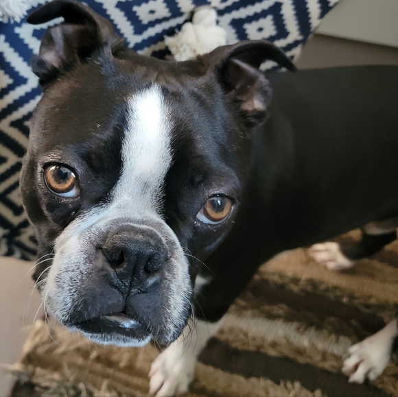 Meet your Posher, Tiff - Picture 7 of 16